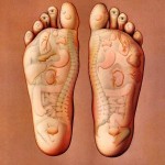 Sense related to various body parts in our foot